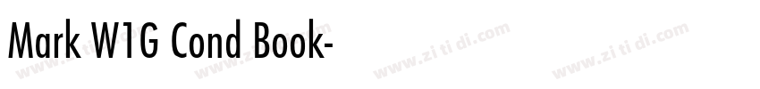Mark W1G Cond Book字体转换